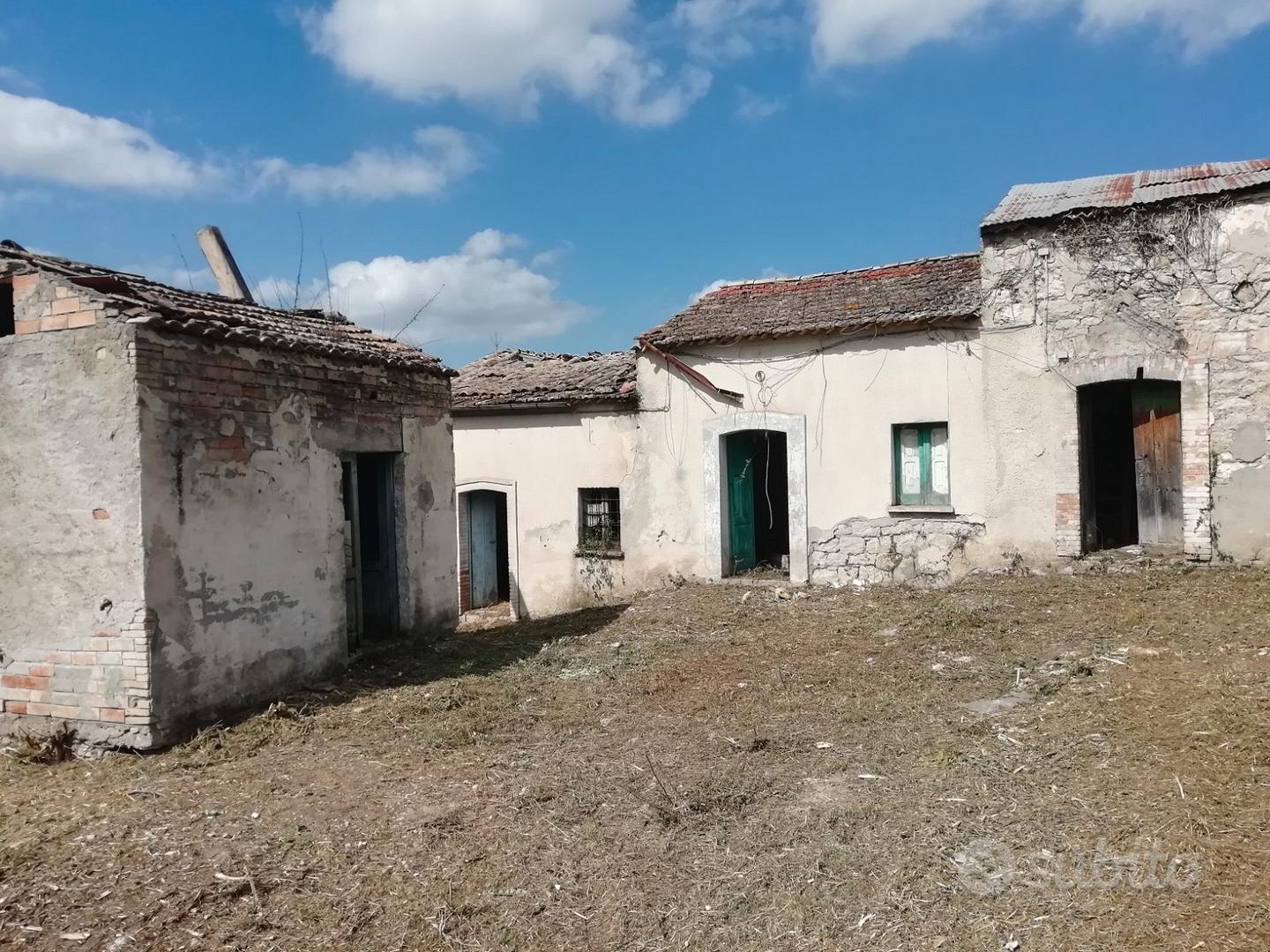 Terreno e rustici - Vista 4