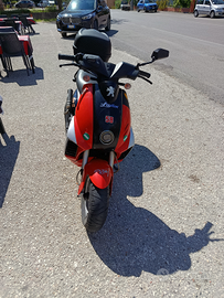 Vendita scooter Peugeot ludix