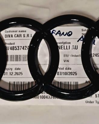 Anelli e led sottoporta Audi