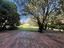 Immagine 17