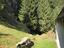 Immagine 24