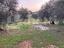Immagine 14