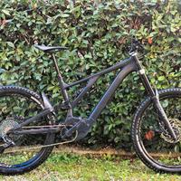Specialized Kenevo Expert 2020 taglia S4