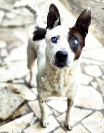 Drusilla una vita di speranza