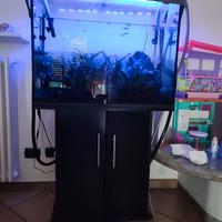 Acquario con mobile e plafoniera
