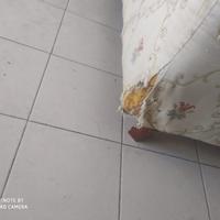 DIVANO 2 POSTI