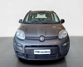 FIAT Panda 1.0 firefly hybrid City Life s&s 70cv