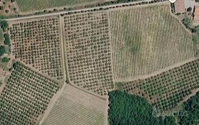 Terreno Agricolo - Castel del Piano