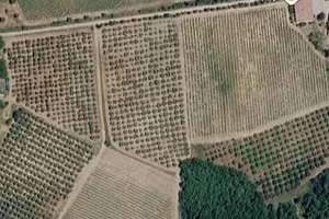 Terreno Agricolo - Castel del Piano