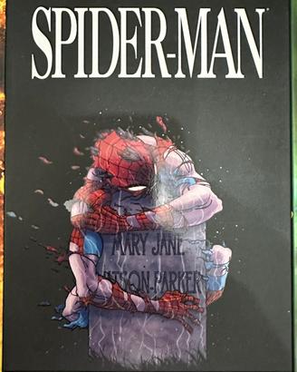 Fumetto 100% Marvel SPIDER-MAN Il Regno