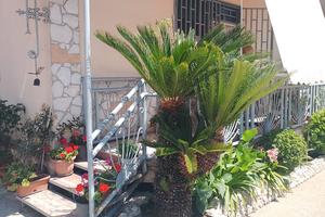 Quarto-trav. di via campana appartamento indipende