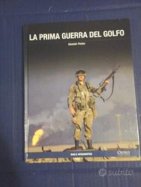 La prima guerra del Golfo