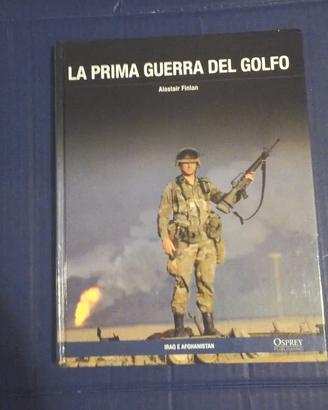 La prima guerra del Golfo