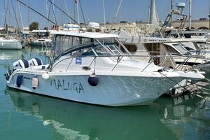 Proline 29 Express 2010