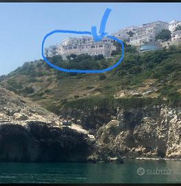 Last minute 2-10 agosto 2025