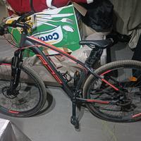 bicicletta RS WINGS 29"