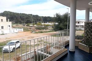 Pescoluse 2 trilocali attigui con terrazzo a 250m