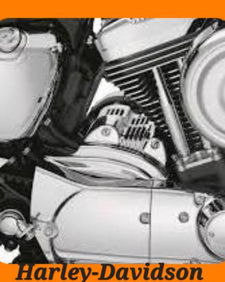 COVER MOTORINO AVVIAMENTO H-D SPORTSTER XL