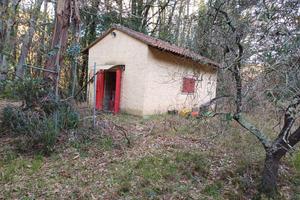 Terreno con annesso a Guardistallo (PI)