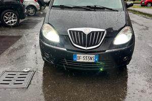 Lancia musa 2008