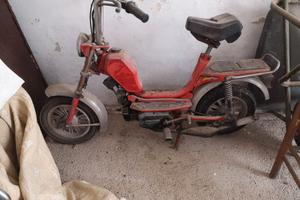 Mini califfo Rizzato