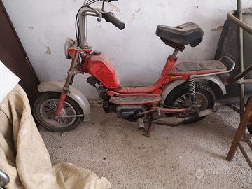 Mini califfo Rizzato