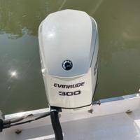 Evinrude e tec 300