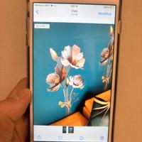 Iphone 6s Plus 64 Gb