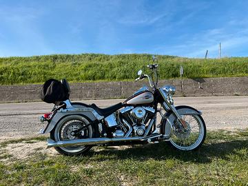 Harley Davidson Heritage Classic cusrom color