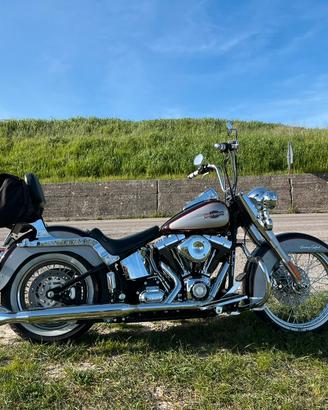 Harley Davidson Heritage Classic cusrom color