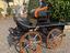 Immagine 28