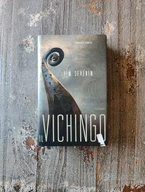 Il vichingo
