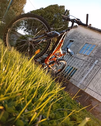 bicicletta MTB 