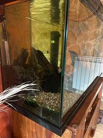 Acquario