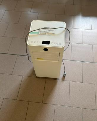 Pinguino-Condizionatore portatile