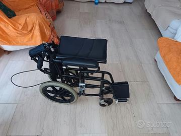 Sedia a rotelle