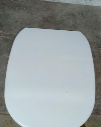 Sedile Wc