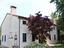 Immagine 10