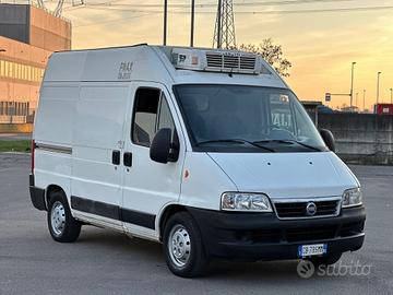 Fiat Ducato Frigo Trasporto Carne con ganciere