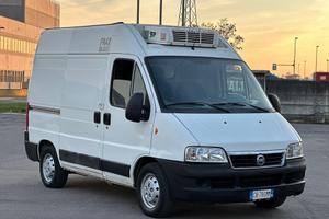 Fiat Ducato Frigo Trasporto Carne con ganciere