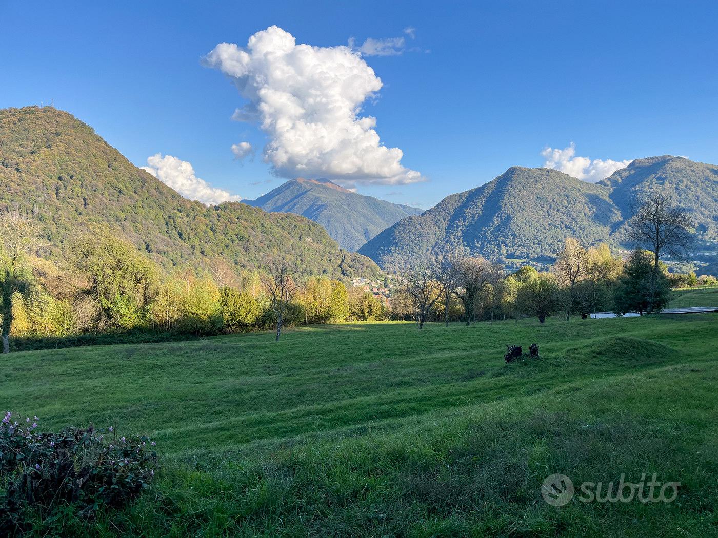 Terreno Residenziale Cerano d'Intelvi - Vista 3