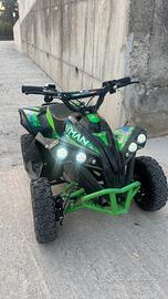 Mini quad elettrico
