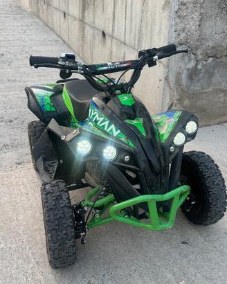 Mini quad elettrico