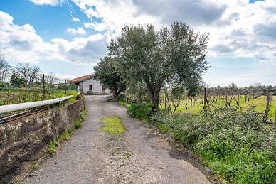 Casa indipendente - Piedimonte Etneo