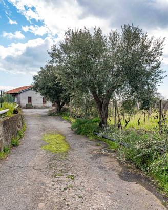 Casa indipendente - Piedimonte Etneo