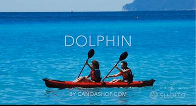 canoa Dolphin 385