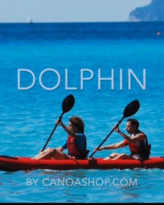 canoa Dolphin 385