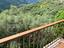Immagine 21