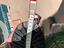 Immagine 6