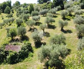 TER. RESIDENZIALE A FIANO ROMANO